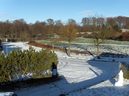 HomeView