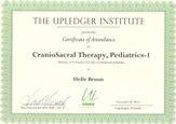 CertUpledgerPediat