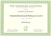 CertUpledgerSomRel