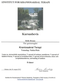 KST-Assens-2012-08