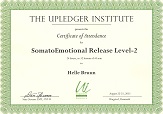upledger-som-2-small
